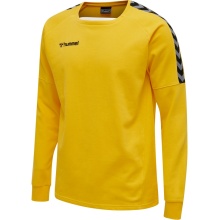 hummel Sport Long Sleeve Shirt hmlAUTHENTIC Training Sweat (Cotton/Polyester Blend) Yellow Men