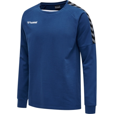 hummel Sport Long Sleeve Shirt hmlAUTHENTIC Training Sweat (Cotton/Polyester Blend) blue Men