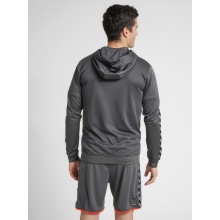 hummel Sport Hoodie hmlAUTHENTIC Poly Zip Hoodie (knitted polyester) with hood asphalt grey Men