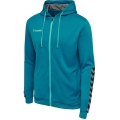 hummel Sport Hoodie hmlAUTHENTIC Poly Zip Hoodie (knitted polyester) with hood teal blue Men