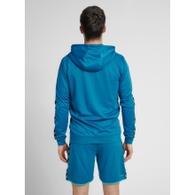 hummel Sport Hoodie hmlAUTHENTIC Poly Zip Hoodie (knitted polyester) with hood teal blue Men