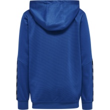 hummel Sport Hoodie hmlAUTHENTIC Poly Zip Hoodie (knitted polyester) dark blue Kids