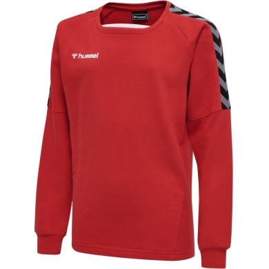 hummel Sport long-sleeved shirt hmlAUTHENTIC Training Sweat (sweat fabric, ribbed cuffs) red Kids