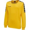 hummel Sport Long Sleeve Shirt hmlAUTHENTIC Training Sweat (sweat fabric, ribbed cuffs) yellow Kids