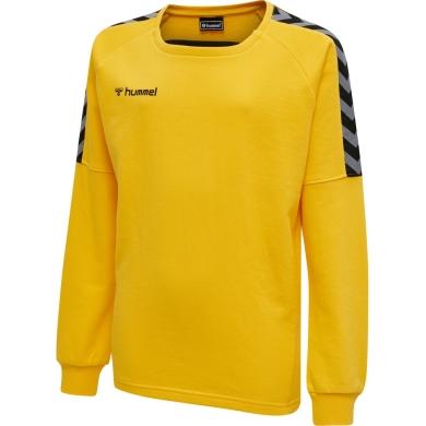 hummel Sport Long Sleeve Shirt hmlAUTHENTIC Training Sweat (sweat fabric, ribbed cuffs) yellow Kids