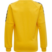 hummel Sport Long Sleeve Shirt hmlAUTHENTIC Training Sweat (sweat fabric, ribbed cuffs) yellow Kids