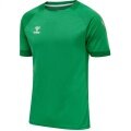 hummel Sport T-shirt hmlLEAD Poly Jersey (Mesh material) Short sleeve green Men