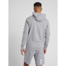 hummel Hooded Jacket Basic hmlGO Cotton Zip Hoodie (Cotton) Grey Men