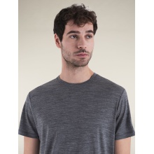 Icebreaker Hiking/Leisure T-shirt Merino 150 Tech Lite III (100% Merino wool) grey Men