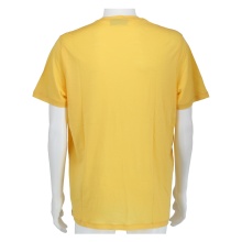 Icebreaker Hiking/Leisure Tshirt Tech Lite II (100% Wool, Fabric Thickness 150 Ultralight) Yellow Men