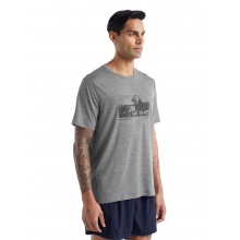 Icebreaker Hiking/Leisure Tshirt Tech Lite II SS Natural Run Club (100% Merino, Fabric Thickness 150 Ultralight) grey Men