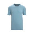 Icebreaker Hiking/Leisure Tshirt Tech Lite II (100% Wool, Fabric Thickness 150 Ultralight) Light Blue Men