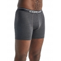 Icebreaker Boxershort Anatomica (Merino Wool) Underwear Grey Men