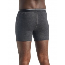 Icebreaker Boxershort Anatomica (Merino Wool) Underwear Grey Men