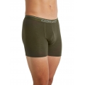 Icebreaker Boxershort Anatomica (Merino Wool) Underwear loden green Men