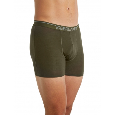 Icebreaker Boxershort Anatomica (Merino Wool) Underwear loden green Men