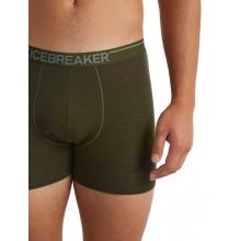 Icebreaker Boxershort Anatomica (Merino Wool) Underwear loden green Men