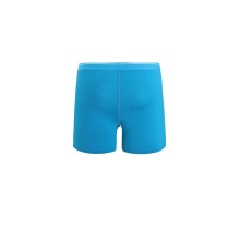 Icebreaker Boxershort Anatomica (Merino Wool) Underwear Blue Men