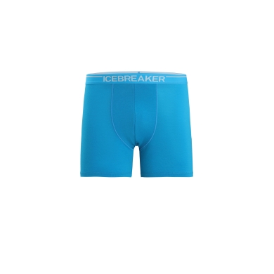 Icebreaker Boxershort Anatomica (Merino Wool) Underwear Blue Men