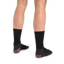 Icebreaker Hiking Sock Crew Hike+ Medium Cushion - Merino Wool, durable - black/brown Men - 1 Pair