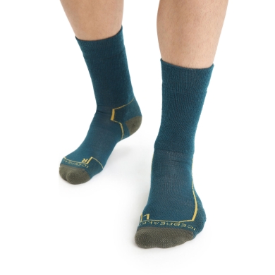 Icebreaker Hiking Sock Crew Hike+ Medium Cushion - Merino Wool, durable - blue-green Men - 1 Pair