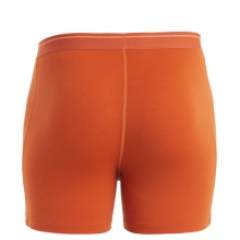 Icebreaker Boxer Shorts Anatomica (Merino Wool) Underwear Orange Men