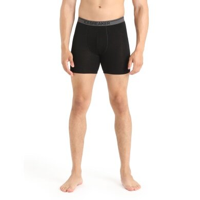 Icebreaker Boxer Shorts Anatomica Long (Merino Wool, longer cut) Underwear black Men