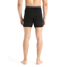 Icebreaker Boxer Shorts Anatomica Long (Merino Wool, longer cut) Underwear black Men