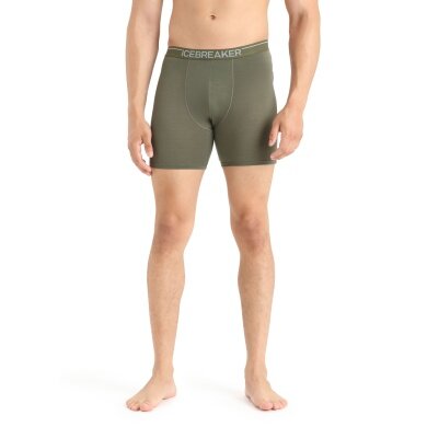 Icebreaker Boxershort Anatomica Long (Merino wool, longer cut) Underwear loden green Men