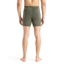 Icebreaker Boxershort Anatomica Long (Merino wool, longer cut) Underwear loden green Men