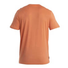 Icebreaker Hiking/Leisure T-shirt Merino 150 Tech Lite III Tech Head (100% Wool) Orange Men