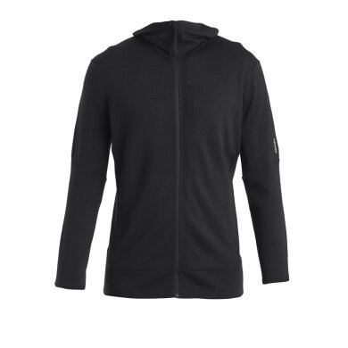 Icebreaker Hooded Jacket Merino 260 Quantum IV Zip-Hoodie (100% Merino Wool) black men