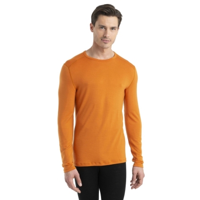 Icebreaker Underwear Thermo Long Sleeve Shirt 260 Tech Crewe - Merino Wool, close-fitting - yellow Men