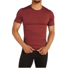 Icebreaker Underwear T-shirt 200 Oasis SS Crewe fitted (Merino wool) dark red men's