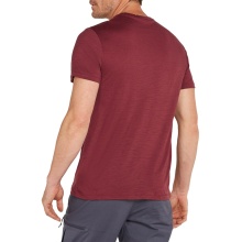 Icebreaker Functional T-shirt Merino 150 Tech Lite Tee Polar Paddle (Merino Wool) dark red Men's