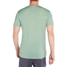 Icebreaker Functional T-shirt Merino 150 Tech Lite Tee Polar Paddle (Merino Wool) moss green Men's