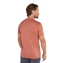 Icebreaker Functional T-shirt Merino 150 Tech Lite Tee Camp Essentials (Merino Wool) cedar red Men's