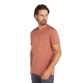 Icebreaker Functional T-shirt Merino 150 Tech Lite Tee Camp Essentials (Merino Wool) cedar red Men's