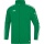 JAKO All-Weather Jacket Striker 2.0 green/white Kids