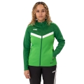 JAKO Iconic Hooded Jacket (Polyester Fleece, Side Pockets with Zip) green/dark green Ladies