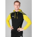 JAKO Hoodie Performance (Polyester-Fleece) black/yellow Men