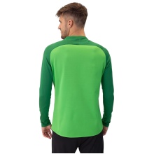 JAKO Sport Long Sleeve Sweatshirt Iconic (Polyester Stretch Fleece) green/dark green Men's