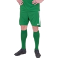 JAKO Sports Pants Power (Polyester Interlock, elastic, quick-drying) short green Men