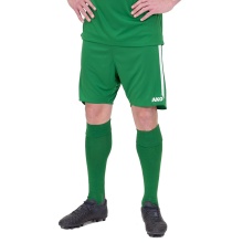 JAKO Sports Pants Power (Polyester Interlock, elastic, quick-drying) short green Men