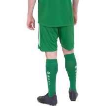 JAKO Sports Pants Power (Polyester Interlock, elastic, quick-drying) short green Men