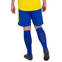 JAKO Sports Pants Power (Polyester Interlock, elastic, quick-drying) short royal blue/yellow Men