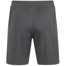 JAKO Training Shorts Power (Polyester Interlock, elastic, durable) short anthracite grey men's