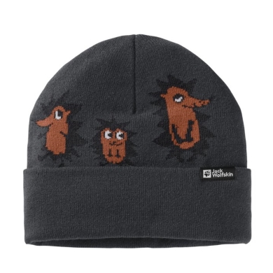 Jack Wolfskin Beanie Gleely - Phantom Grey Kids