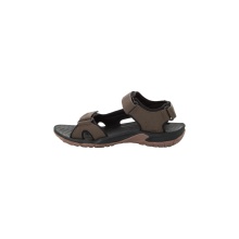 Jack Wolfskin Sandal Lakewood Cruise (Outdoor sandal for hiking tours and everyday use) dark brown men's