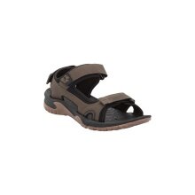 Jack Wolfskin Sandal Lakewood Cruise (Outdoor sandal for hiking tours and everyday use) dark brown men's